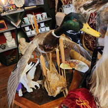 Load image into Gallery viewer, DONNY THE DUCK