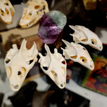 Load image into Gallery viewer, TURTLE SKULL