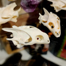 Load image into Gallery viewer, TURTLE SKULL