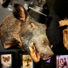 Load image into Gallery viewer, Loomis the Boar