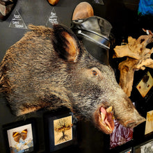 Load image into Gallery viewer, Loomis the Boar