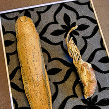 Load image into Gallery viewer, Zombie Fungi and Leech Wedding Day