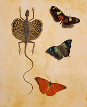 Load image into Gallery viewer, Draco Flying Lizard & Butterfly Friends