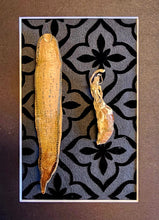 Load image into Gallery viewer, Zombie Fungi and Leech Wedding Day