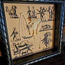 Load image into Gallery viewer, Two Headed Bat Skeleton