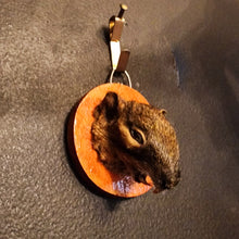 Load image into Gallery viewer, Squirrel Head Mount