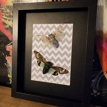 Load image into Gallery viewer, Ghost & Turquoise Cicada Buddies