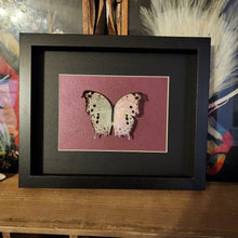 Load image into Gallery viewer, Forest Mother-Of-Pearl Butterfly