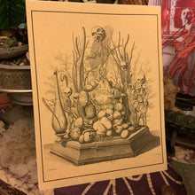 Load image into Gallery viewer, *Frederik Ruysch Collection I - 5 for $20