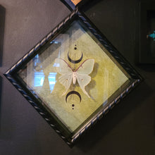 Load image into Gallery viewer, Luna Moth, Actias Luna Green Saturn Moth, Wicca Triple Moon, Shadowbox