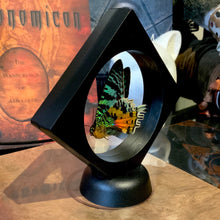 Load image into Gallery viewer, Sunset Moth Butterfly in Floating Mini Frame