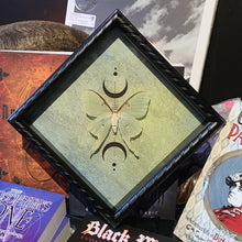 Load image into Gallery viewer, Luna Moth, Actias Luna Green Saturn Moth, Wicca Triple Moon, Shadowbox