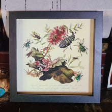 Load image into Gallery viewer, Metallic Weevil Naturalist Art