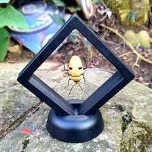 Load image into Gallery viewer, Smiling Beetle- Yellow smiling Man Face Beetle