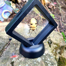 Load image into Gallery viewer, Smiling Beetle- Yellow smiling Man Face Beetle