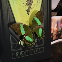 Load image into Gallery viewer, Alfons Mucha Style Art Print Absinthe