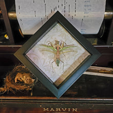 Load image into Gallery viewer, Praying Mantis