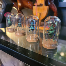 Load image into Gallery viewer, Corked Weevil Buddies