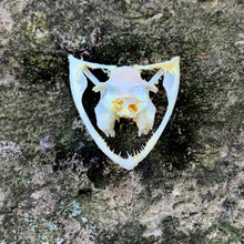 Load image into Gallery viewer, TREE VIPER SKULL