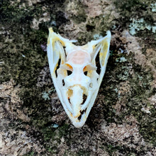 Load image into Gallery viewer, VINE WHIP SNAKE SKULL