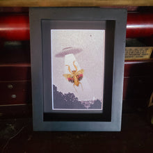 Load image into Gallery viewer, Mantis UFO Abduction