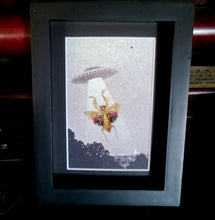 Load image into Gallery viewer, Mantis UFO Abduction