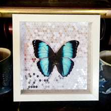 Load image into Gallery viewer, Morpho Butterfly Silver