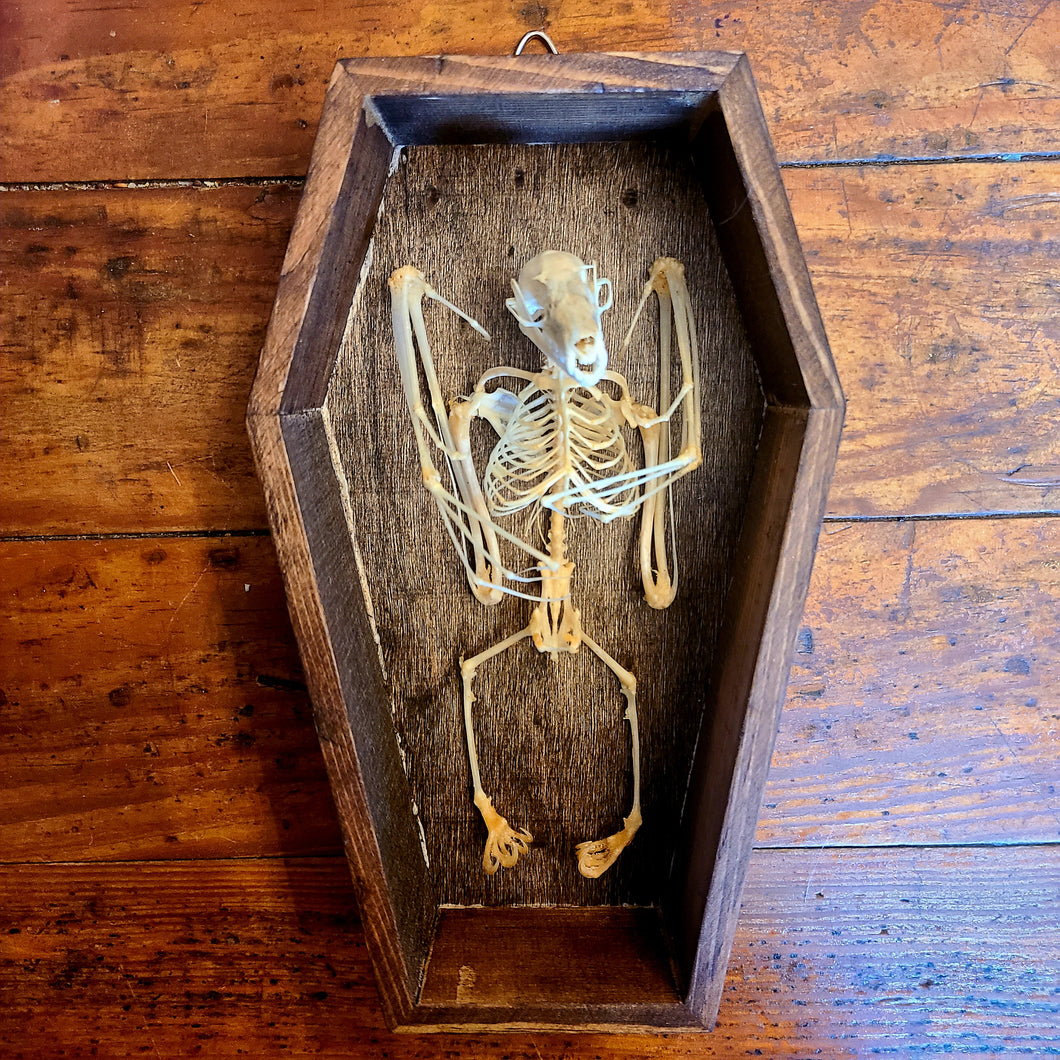 Bat Skeleton Coffin