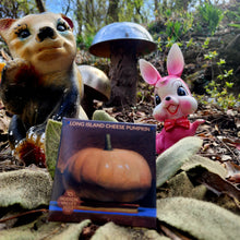 Load image into Gallery viewer, Long Island Cheese Pumpkin - Seeds