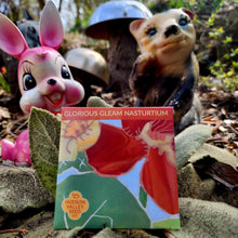 Load image into Gallery viewer, Glorious Gleam Nasturtium - Seeds