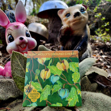 Load image into Gallery viewer, Aunt Molly's Ground Cherry - Seeds