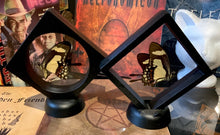 Load image into Gallery viewer, Yellow Swallowtail Butterfly in Floating Mini Frame