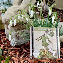 Load image into Gallery viewer, JOKER LETTUCE - SEEDS -