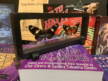 Load image into Gallery viewer, Heliconius doris Butterfly Pair