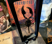 Load image into Gallery viewer, Scorpion Floating Frame