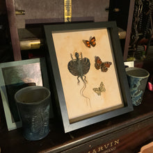 Load image into Gallery viewer, Draco Flying Lizard & Butterfly Friends