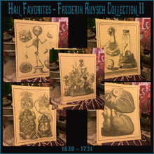 Load image into Gallery viewer, *Frederik Ruysch Collection II - 5 for $20