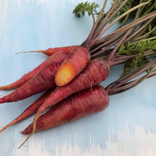 Load image into Gallery viewer, Dragon Carrot - Seeds
