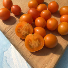 Load image into Gallery viewer, Honey Drop Cherry Tomato - Seeds
