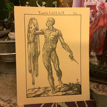 Load image into Gallery viewer, *Neil's Dark Favorites Collection - 5 for $20