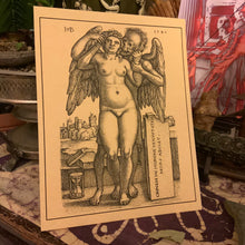 Load image into Gallery viewer, *Neil's Dark Favorites Collection - 5 for $20