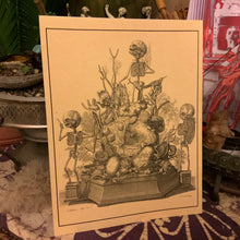 Load image into Gallery viewer, *Frederik Ruysch Collection II - 5 for $20