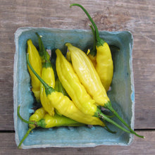 Load image into Gallery viewer, Lemon Drop Hot Pepper - Seeds
