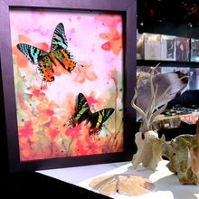 Load image into Gallery viewer, Sunset Moths