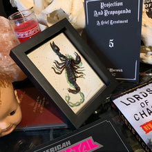 Load image into Gallery viewer, Scorpion Scorpio Zodiac