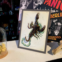 Load image into Gallery viewer, Scorpion Scorpio Zodiac