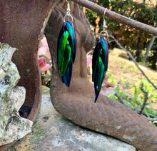 Load image into Gallery viewer, Real Buprestid Jewel Beetle Wing Earrings
