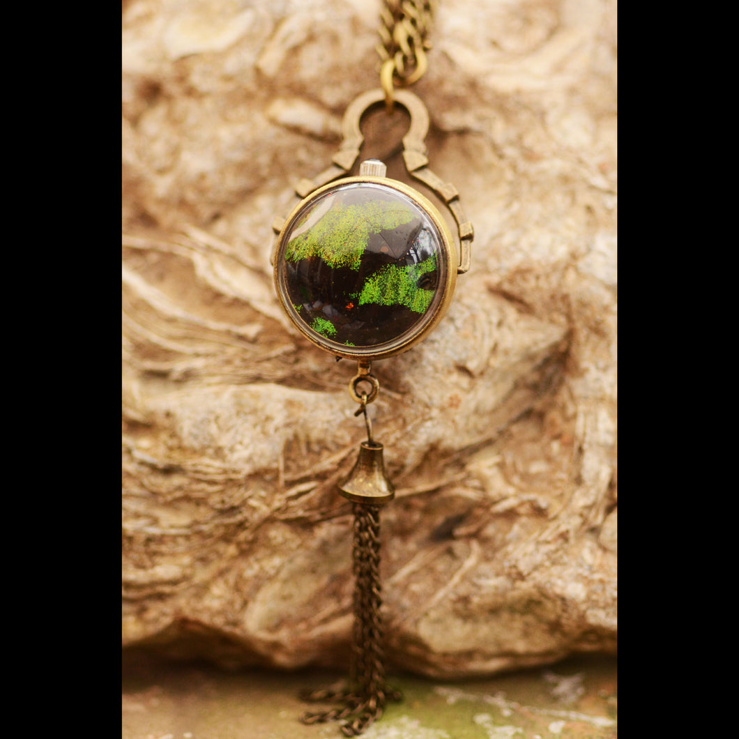 Real Butterfly/Moth Week Necklace, Chrysiridia rhipheus - Green & Black Fore-wing