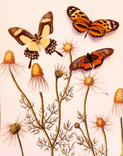 Load image into Gallery viewer, Summer Time Butterfly Friends
