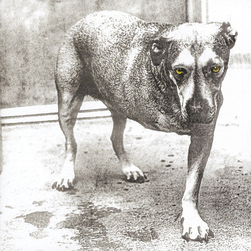 Alice In Chains - Alice In Chain CD